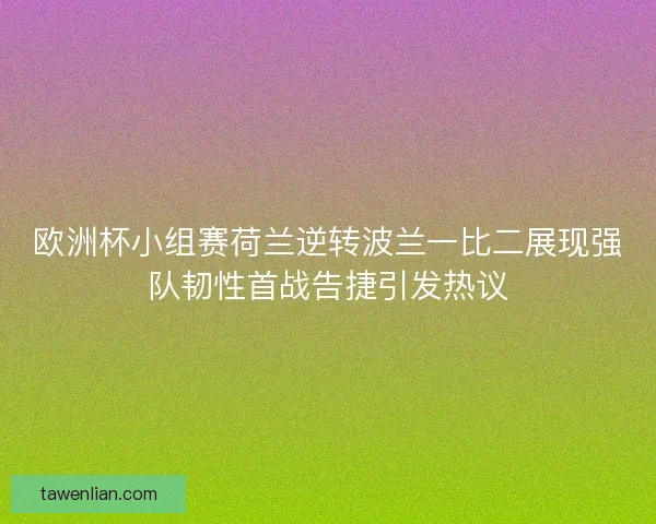 欧洲杯小组赛荷兰逆转波兰一比二展现强队韧性首战告捷引发热议